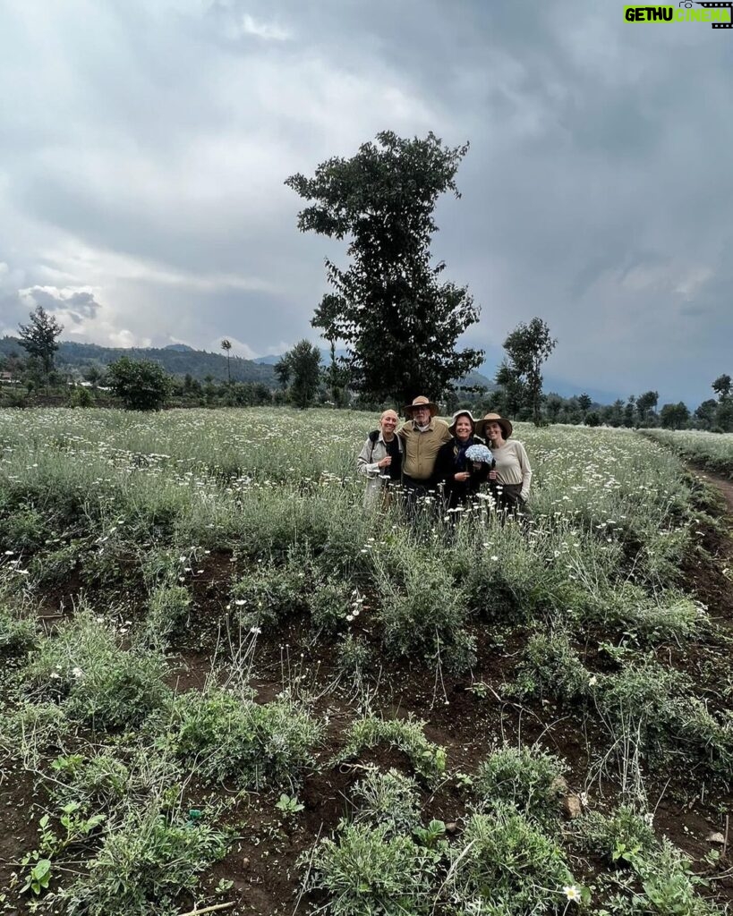 Zoey Deutch Instagram - my sister and i were fortunate enough to gorilla trek in rwanda and uganda 5 years ago. it was impossible to put into words how profound the experience was and we vowed we’d come back with our parents one day. in september, we went on two treks with our mom and dad that were just as transformative and magical as the first. i’m still not able to properly explain how special it is. overflowing with gratitude. thank you for so many things, 2023, and at the top of the list is this unforgettable adventure with the most important people in my life 🦍🇷🇼 Volcanoes National Park, Rwanda