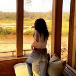 Zoey Deutch Instagram – 🦏🦒🦓🦁🐘 Tengile River Lodge