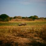 Zoey Deutch Instagram – more thankful than ever for my beautiful family and friends and the opportunity to adventure through life with them 

photo series pt1 of the most magical birthday trip for my dad @andbeyondtravel @andbeyondtengile Tengile River Lodge