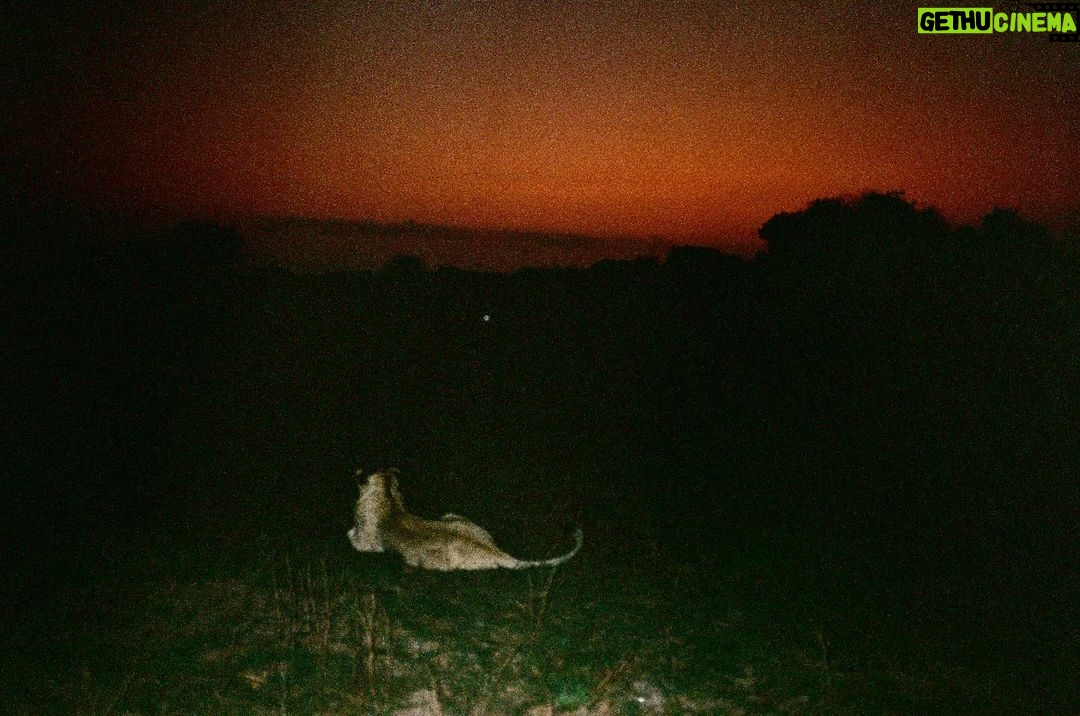 Zoey Deutch Instagram - more thankful than ever for my beautiful family and friends and the opportunity to adventure through life with them photo series pt1 of the most magical birthday trip for my dad @andbeyondtravel @andbeyondtengile Tengile River Lodge