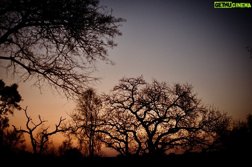 Zoey Deutch Instagram - more thankful than ever for my beautiful family and friends and the opportunity to adventure through life with them photo series pt1 of the most magical birthday trip for my dad @andbeyondtravel @andbeyondtengile Tengile River Lodge
