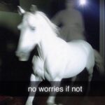 Zoey Deutch Instagram – no worries if not