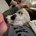 Zoey Deutch Instagram – no worries if not