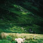 Zoey Deutch Instagram - 🪨 #back #to #my #rock #roots 🪨 #i #fucking #love #rocks 🪨 Donegal, Ireland