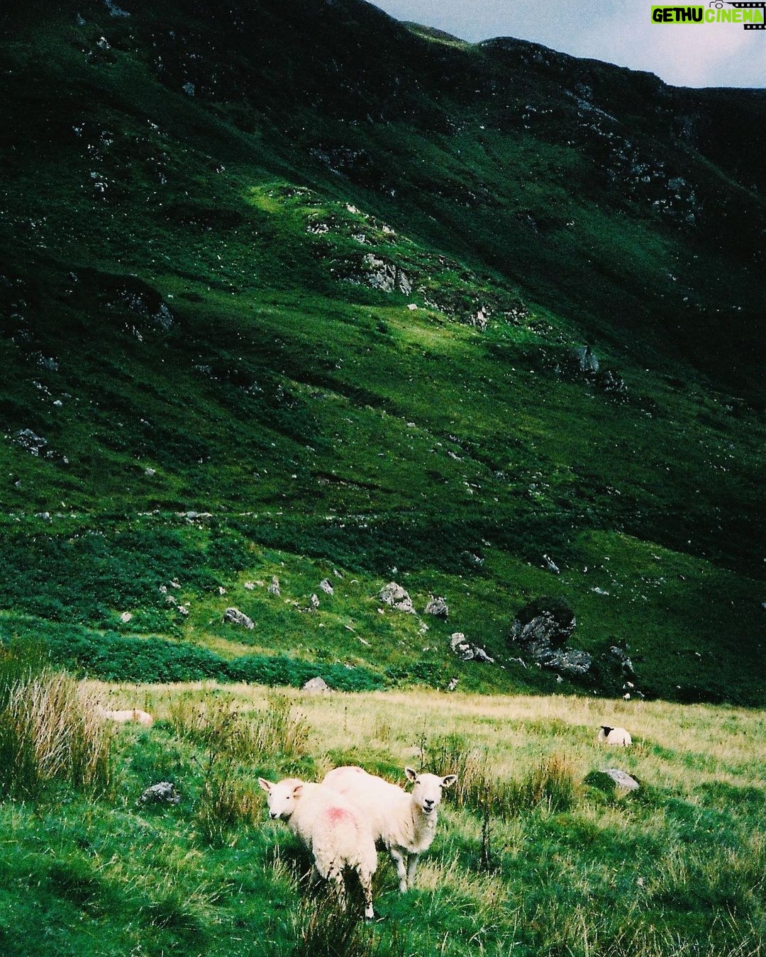 Zoey Deutch Instagram - 🪨 #back #to #my #rock #roots 🪨 #i #fucking #love #rocks 🪨 Donegal, Ireland