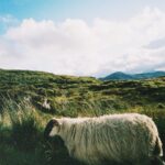 Zoey Deutch Instagram - 🪨 #back #to #my #rock #roots 🪨 #i #fucking #love #rocks 🪨 Donegal, Ireland