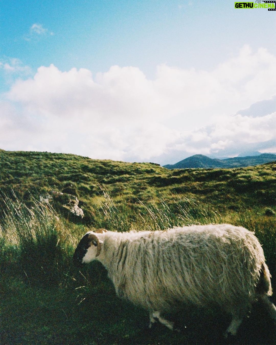 Zoey Deutch Instagram - 🪨 #back #to #my #rock #roots 🪨 #i #fucking #love #rocks 🪨 Donegal, Ireland