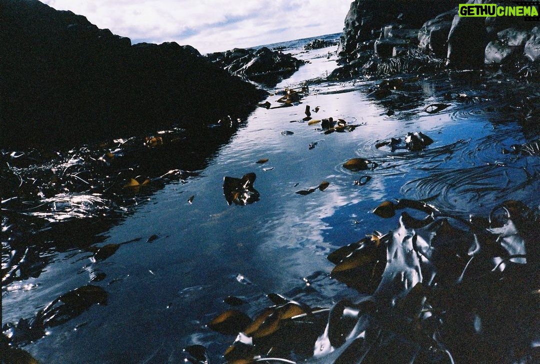 Zoey Deutch Instagram - sláinte Donegal, Ireland