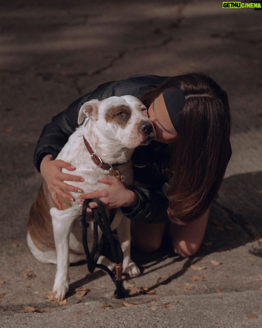 Zoey Deutch Instagram - have u ever seen a dog so embarrassed to take a picture with their owner because like ……??