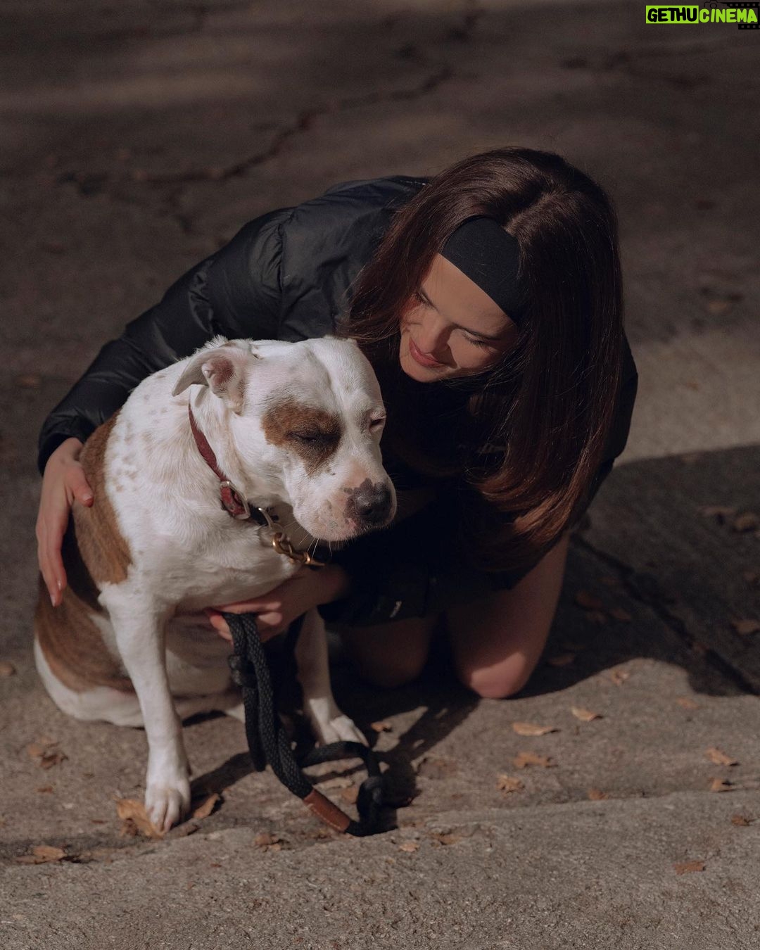 Zoey Deutch Instagram - have u ever seen a dog so embarrassed to take a picture with their owner because like ……??