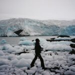 Zoey Deutch Instagram - forever grateful for this once in a lifetime opportunity to visit the most beautiful place i’ve ever been to 🇦🇶 also did u know a group of penguins is called a waddle Antarctica