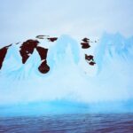 Zoey Deutch Instagram - and these photos are just the tip of the iceberg🧊 Antarctica