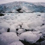 Zoey Deutch Instagram - and these photos are just the tip of the iceberg🧊 Antarctica