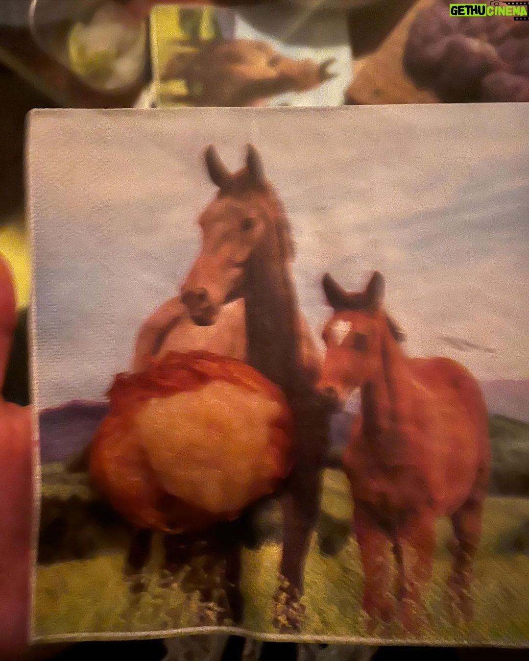 Zoey Deutch Instagram - scroll to the last slide to see a confusing photo of a latke on a horse napkin 👍