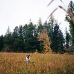 Zoey Deutch Instagram - 🍂 Montana