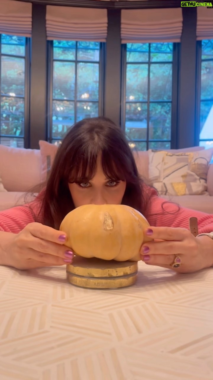 Zooey Deschanel Instagram - So proud of you, Yellow Gourd.