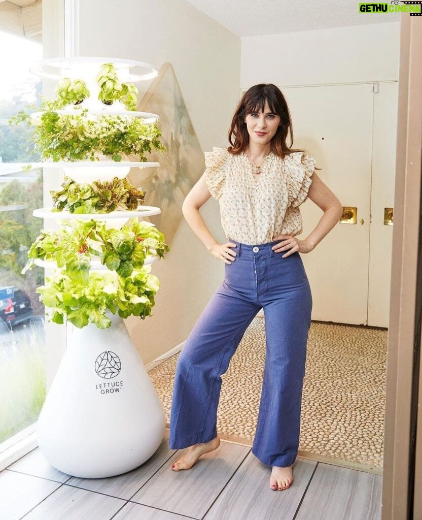 Zooey Deschanel Instagram - @zooeydeschanel, co-founder of Lettuce Grow, is here to drop our NEW fall seedlings. 🌱🛒⁠ ⁠ NOW ON THE MENU⁠:⁠ 🌱 Muir Summer Lettuce⁠ 🌱 Red Leaf Lettuce⁠ 🌱 Pomegranate Crunch Romaine⁠ 🌱 Amara Mustard Greens⁠ 🌱 Britton Shiso⁠ *NEW*⁠ 🌱 Broccoli⁠ 🌱 Purple Broccoli⁠ 🌱 Red Express Cabbage⁠ *NEW*⁠ 🌱 Orange Cauliflower⁠ 🌱 Dill⁠ 🌱 Fennel⁠ 🌱 Dazzling Blue Kale⁠ 🌱 Komatsuna⁠ 🌱 Dappled Butter Lettuce⁠ 🌱 Purple Snow Pea⁠ 🌱 Bel Fiore Radicchio⁠ 🌱 Sage⁠ 🌱 Giant Spinach⁠ 🌱 Hot Cakes Stock⁠ 🌱 Viola Mix⁠ ⁠ #LettuceGrow⁠ ⁠ ⁠ ⁠ ⁠ ⁠ ⁠ ⁠ ⁠ ⁠ #healthyeating #veggielover #farmstand #hydroponicgardening #hydroponicfarming #gardenharvest #hydroponicfarmer #growyourownfood #hydroponicfarmstand #lettucegrowfarmstand #farmstandnook #fallseedlings