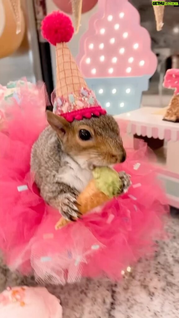 Zooey Deschanel Instagram - Is it weird that my fashion icon is a squirrel? Original Video: @little_thumbelina_girl