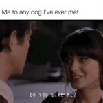 Zooey Deschanel Instagram - Summer memes…