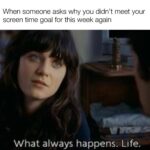 Zooey Deschanel Instagram - Summer memes…