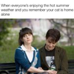 Zooey Deschanel Instagram - Summer memes…