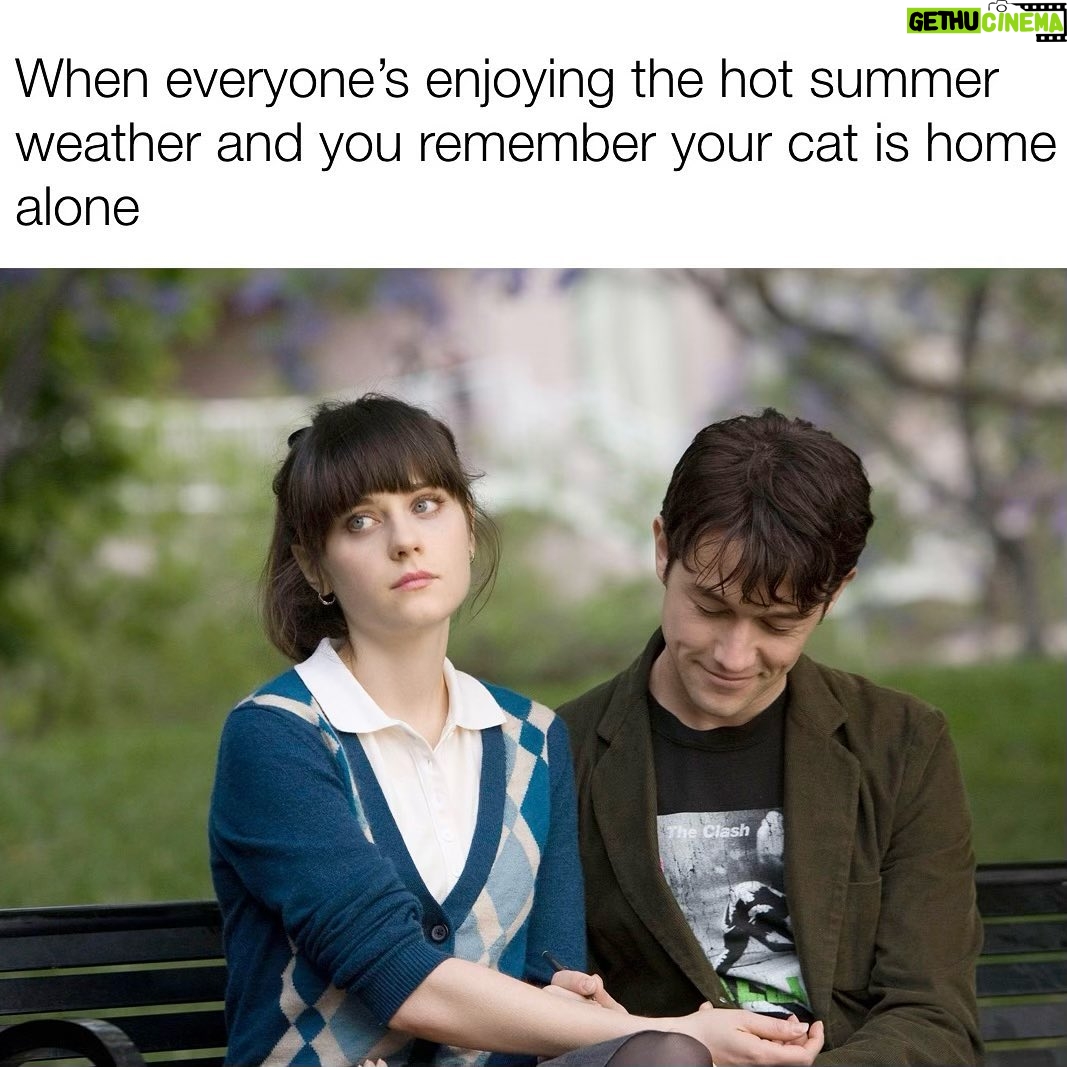 Zooey Deschanel Instagram - Summer memes…