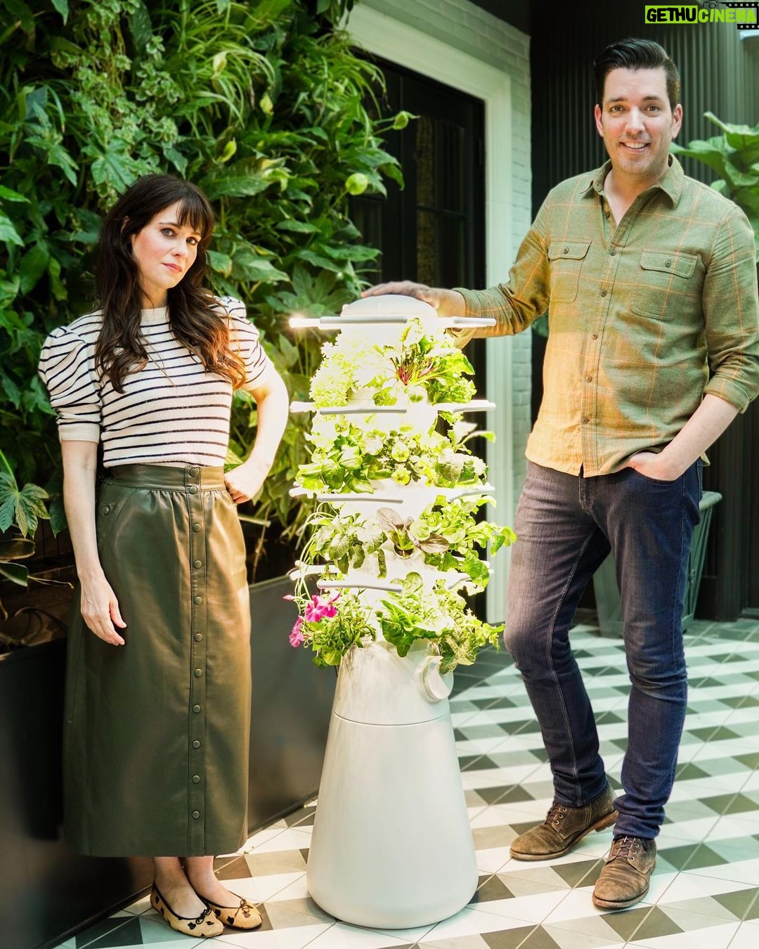 Zooey Deschanel Instagram - INTRODUCING THE FARMSTAND NOOK 🌱 As Co-founder of Lettuce Grow, I'm excited to announce the newest addition to our Farmstand family...The Farmstand Nook! It's now available for preorder on lettucegrow.com
@lettucegrow's mission has always been to make healthy eating more accessible to every home. The Farmstand Nook now makes it easier for home cooks in smaller spaces to grow their own produce & herbs - its tank size is about 60% of our original Farmstand.
An added bonus, all preorders will i nclude a FREE seedling starter kit ($80 value) to kickstart your growing! This offer will go away once preorder ends, so head to the link in bio to be one of the first to get your hands on one. We're so proud of this addition and hope you love it as much as we do 🌱