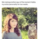 Zooey Deschanel Instagram – I am every meme