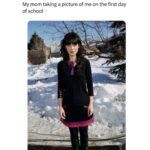 Zooey Deschanel Instagram – I am every meme
