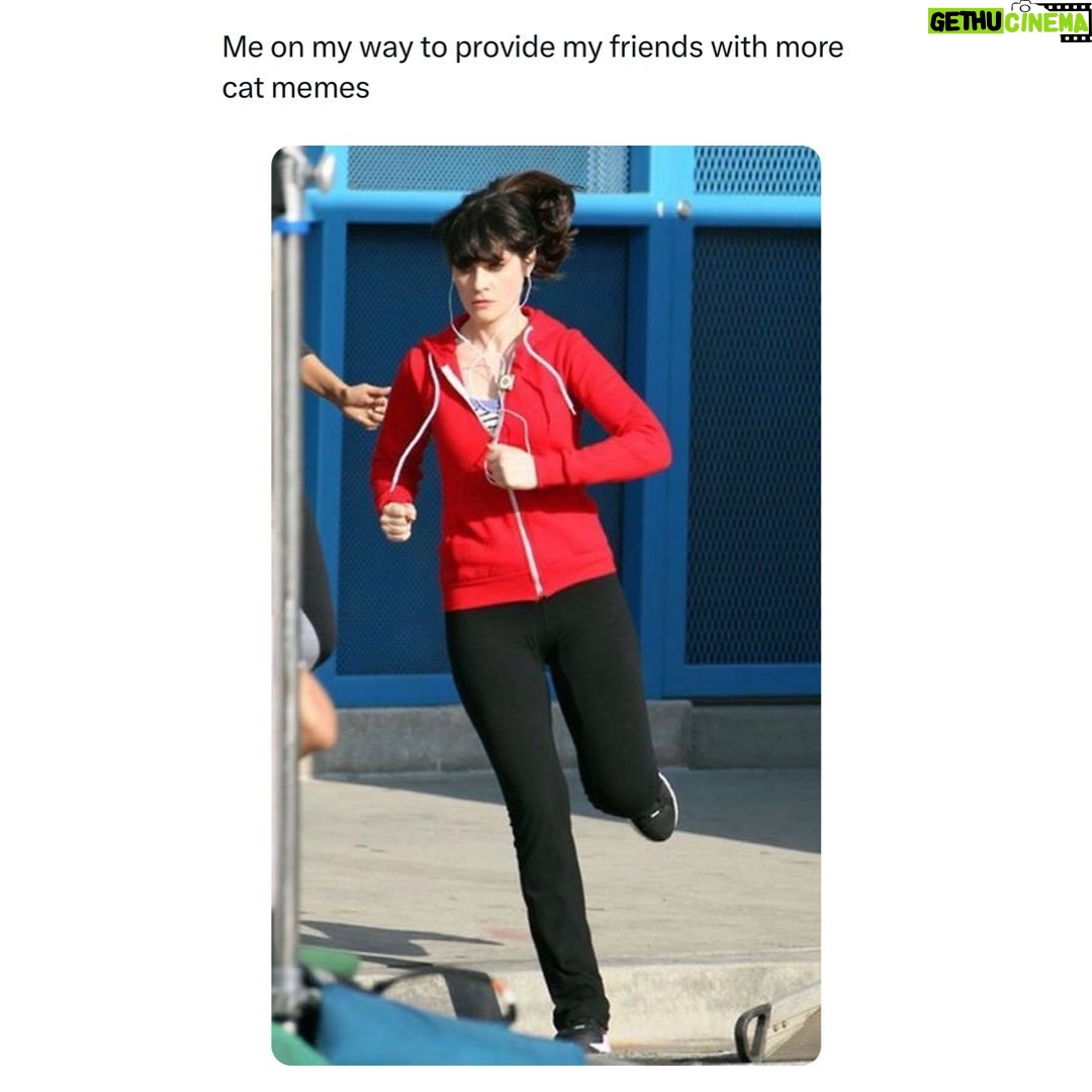 Zooey Deschanel - 274.2K Likes - I am every meme