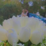 Zuhur Alaa Instagram - الى حبيبتي اخر العنقود اليوم تدخل وردتي الصغيرة عشها الذهبي وبدخولها اكون قد اتممت ما بعنقي من التزام امام ابي الذي وافاه الاجل ولم يوصيني الا بوريدات كانت هيه اخرهم احبهم بقدر حبي لوصية ابي يارب يتمم عليك فرحتك غاليتي ♥️♥️♥️♥️♥️♥️♥️♥️♥️