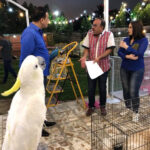Zuhur Alaa Instagram - اثناء تصوير برنامج هاشتاك 🌹🌹🌹🌹🌹