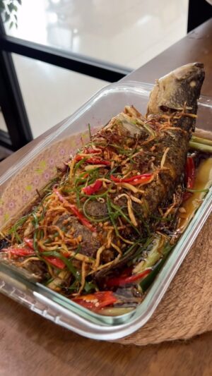Zulin Aziz Instagram - Salam jumaat semua 👩🏻‍🍳

Harini Zulin buat Siakap masak kicap halia
Lepastu kejap lagi nak masak sayur. Shiap!

Harini suami cuti ,so takdela video bekal pergi kerja hehe.
Dia lunch sama2 ngan kita harini lepas solat jumaat 🥰

Korang masak apa?
#puanzulinkedapur