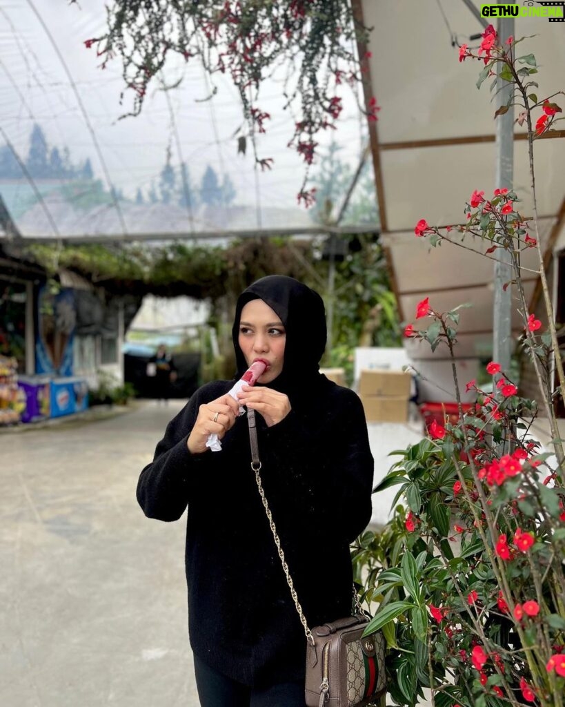 Zulin Aziz Instagram - Strawberry & Scones 😍 Cameron Highlands, Pahang, Malaysia
