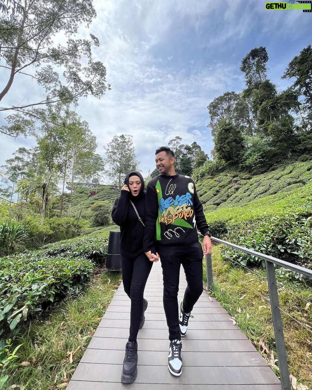 Zulin Aziz Instagram - Tak tau nak BOH caption apa🍃 Boh Teh Centre Cameron Highlands