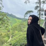 Zulin Aziz Instagram - Tak tau nak BOH caption apa🍃 Boh Teh Centre Cameron Highlands