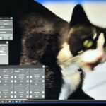 deadmau5 Instagram - Meowingtons simulator is hilariously outta control... I don't wanna give away too much till we unleash it on steam, but here's some fun sandbox test screenshots.