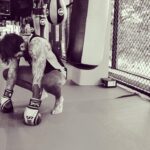 Aaron Chalmers Instagram - Left everything in the gym this morning!! This was after sparring 💀 photo skills @daryllbn