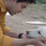 Abijeet Duddala Instagram – Please be kind to animals 🙏 

#doggo #love #animals