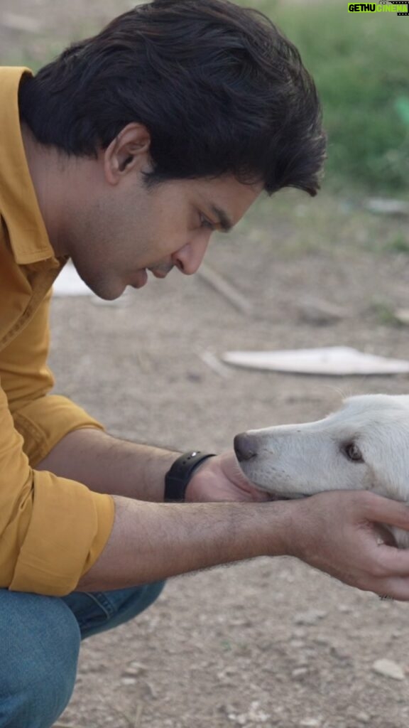 Abijeet Duddala Instagram - Please be kind to animals 🙏 #doggo #love #animals