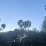 Adèle Exarchopoulos Instagram – 🩸🙏🏽🤍 Es Saadi Palace