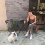Adelaide Kane Instagram - High quality dog content