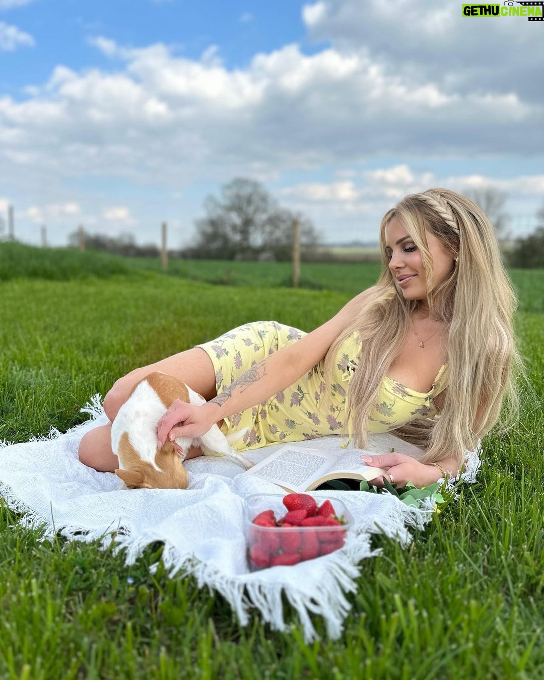 Adixia Romaniello Instagram - 🌻🐝 Belgium, Europe