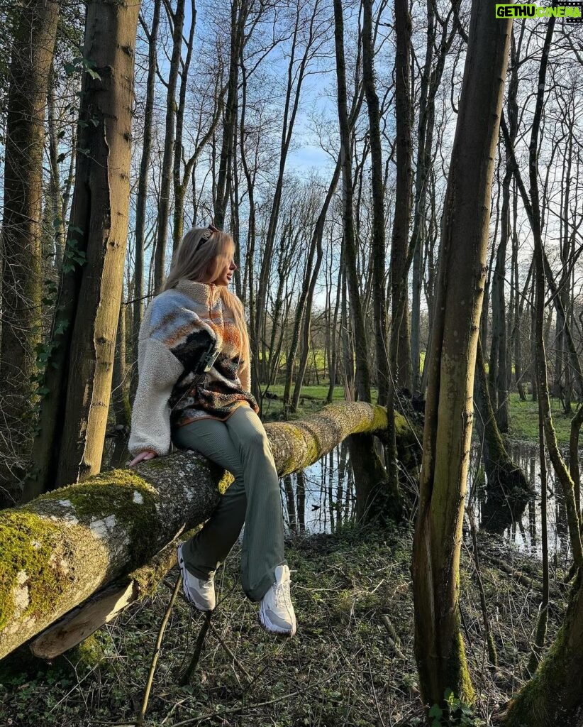 Adixia Romaniello Instagram - Se perdre en forêt pour mieux retrouver son WiFi intérieur