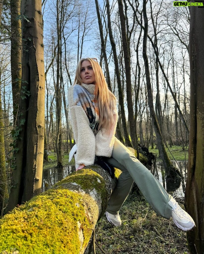 Adixia Romaniello Instagram - Se perdre en forêt pour mieux retrouver son WiFi intérieur