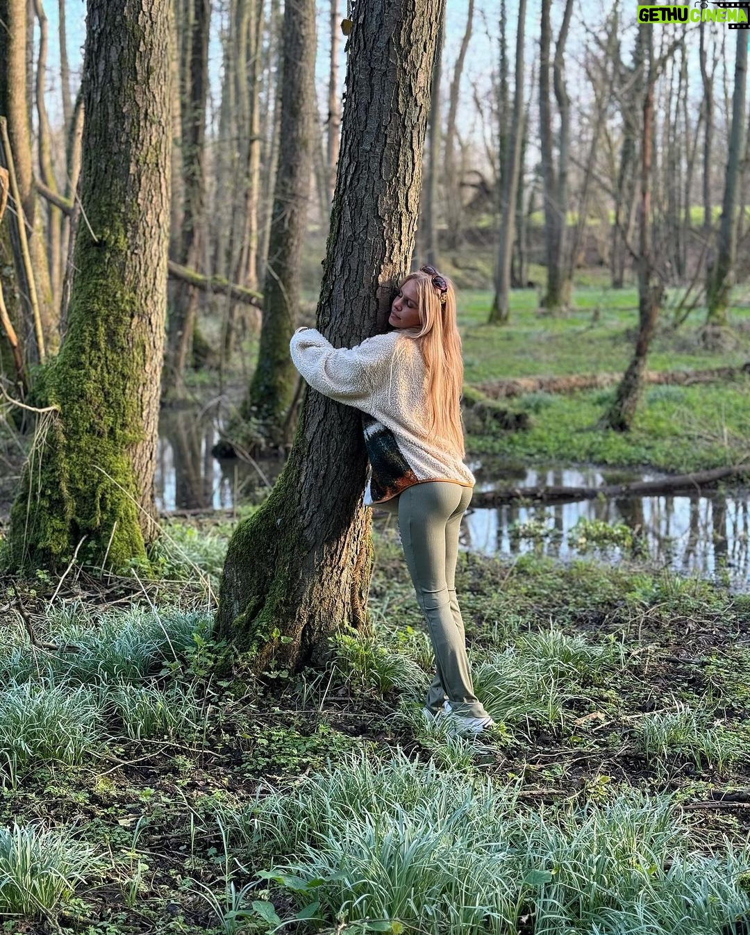 Adixia Romaniello Instagram - Se perdre en forêt pour mieux retrouver son WiFi intérieur
