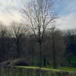 Adixia Romaniello Instagram - Se perdre en forêt pour mieux retrouver son WiFi intérieur