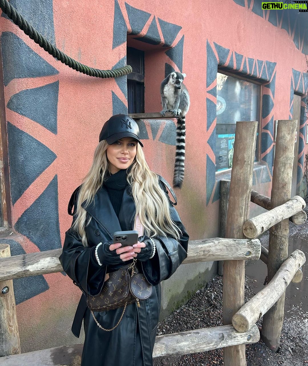 Adixia Romaniello Instagram - Voyager en 5 minutes Γ @pairidaizaofficial ππ«ΆπΌπ² Pairi Daiza