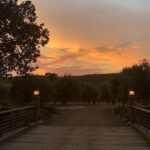 Aimee Garcia Instagram - Sunsets ... always there ... you just have to look ✨