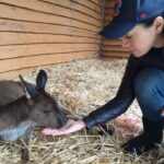 Aimee Garcia Instagram – Wildlife, arcades, street art & breathtaking views … Melbourne you have my heart 💙🐨🌏 Healesville Sanctuary